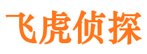 右江市调查公司